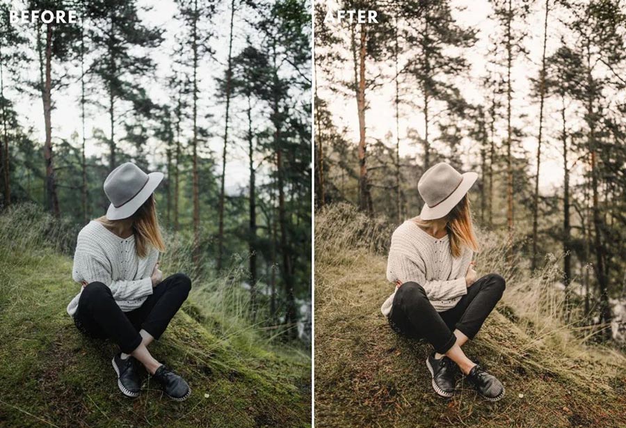 Photo Camera Raw Presets Korean Tone Free Download